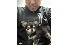 モナムールの写真1枚目